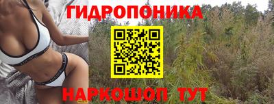 мдпв Майкоп