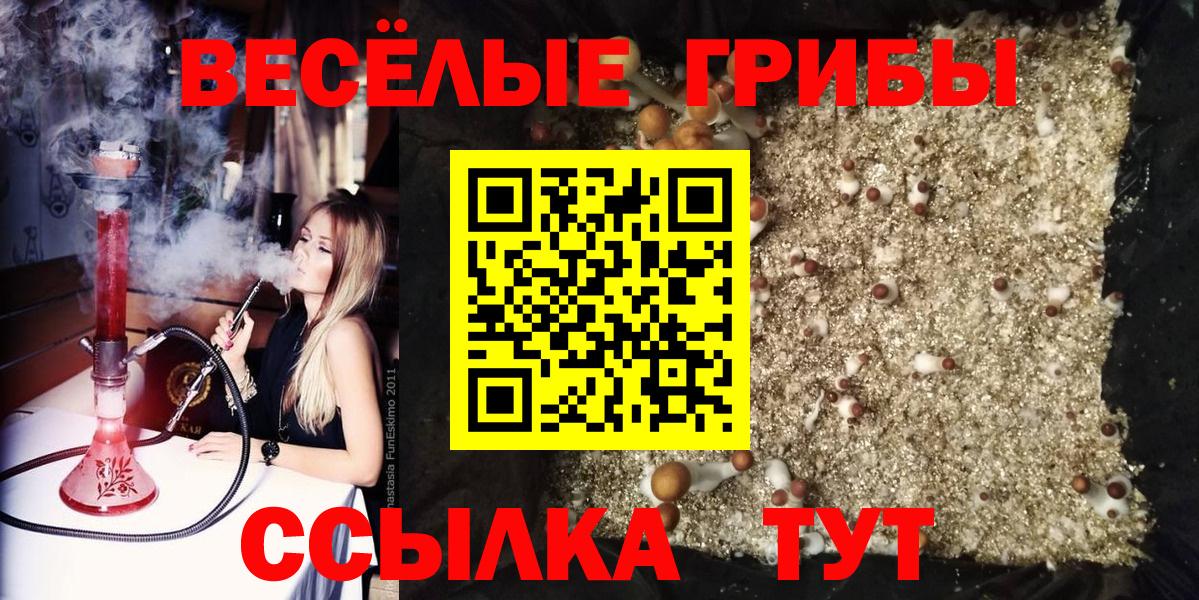 Псилоцибиновые грибы MAGIC MUSHROOMS  Вход с VPN  Галлюциногенные грибы Psilocybe  Брянск 